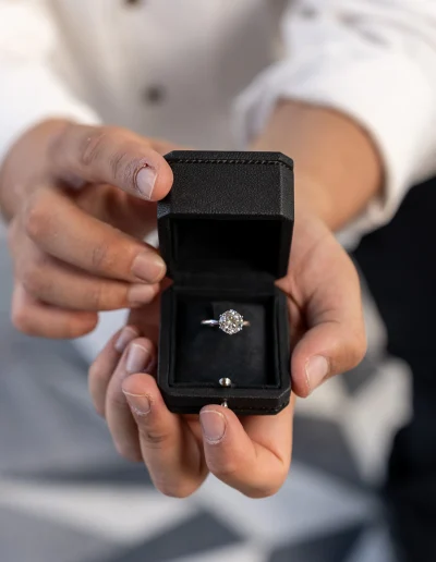 Proposal at villa balbianello